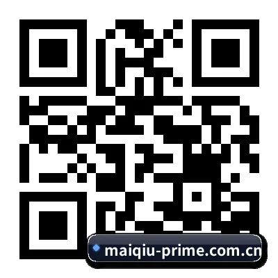 iPhone APP 二维码